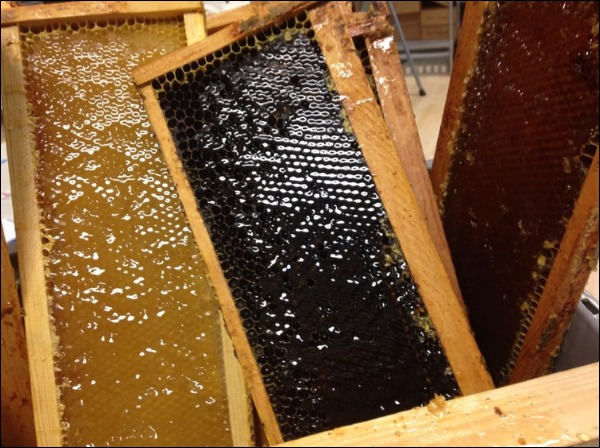 honey harvest at waxing kara