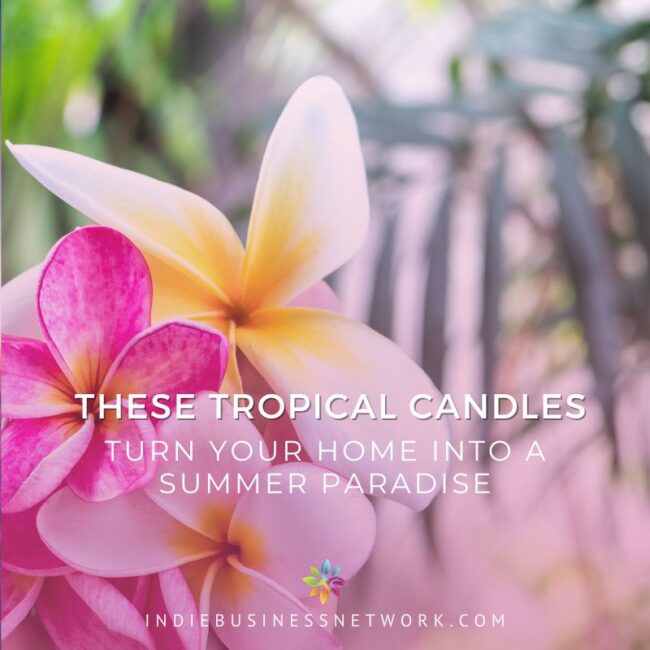 2023-TROPICAL-